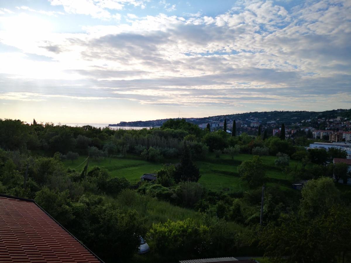 Solmar, Apartment With Big Terrace Near Nature Portorož Eksteriør billede